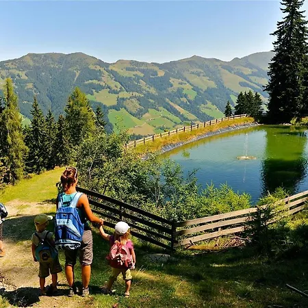 Haus Schoenwies Daire Alpbach